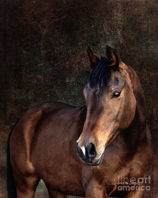 Horse Art Print featuring the photograph Heart by Karen Slagle