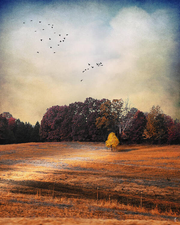 Autumn Art Print featuring the photograph One and Only by Jai Johnson
