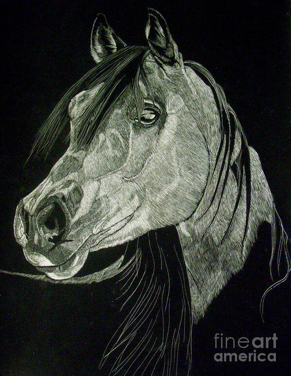 Horse Art Print featuring the drawing April the Horse by Yenni Harrison