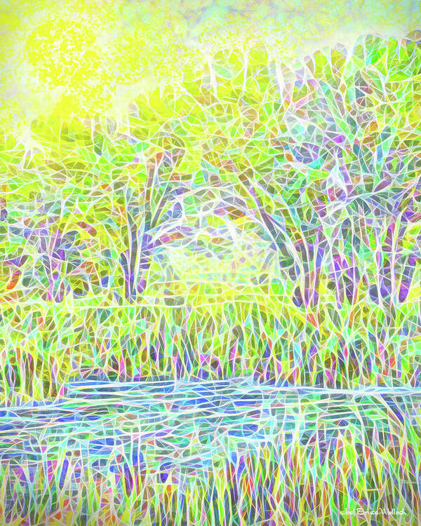 Joelbrucewallach Art Print featuring the digital art Lake Reeds On A Sunny Day - Pond In Boulder County Colorado by Joel Bruce Wallach