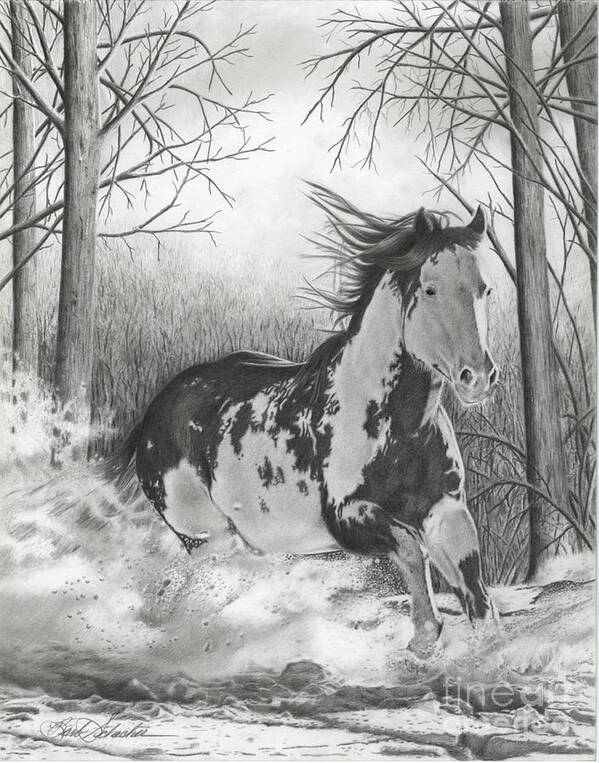 Horse Art Print featuring the drawing Snow Driftin' by Barby Schacher