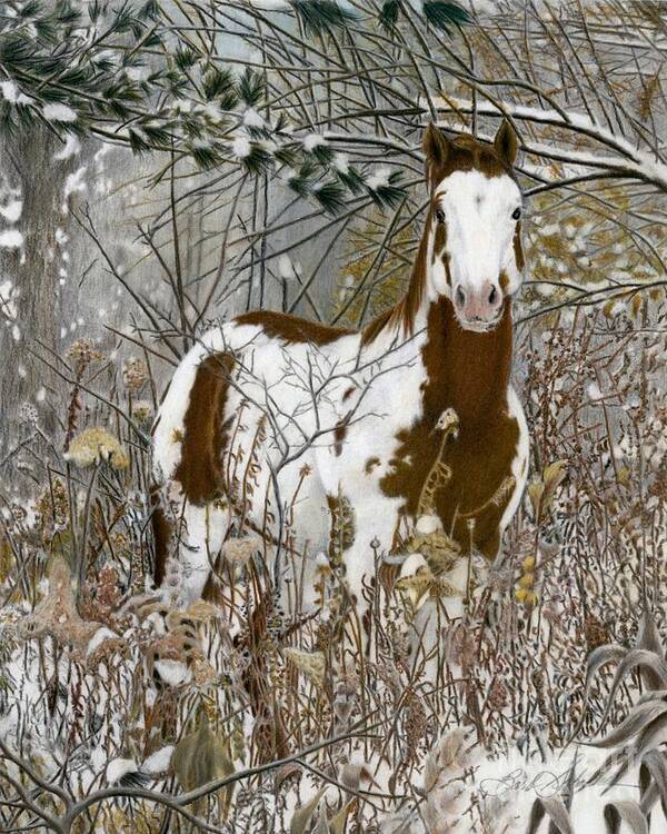 Horse Art Print featuring the painting Tinman, pastel by Barby Schacher