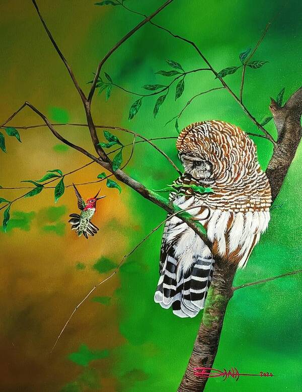 Birds Art Print featuring the painting Barred Owl and Anna's hummingbird by Dana Newman