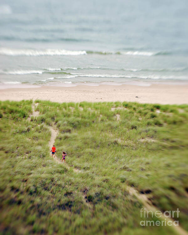 Michigan Art Print featuring the photograph Beach Dunes Path by Kristine Anderson