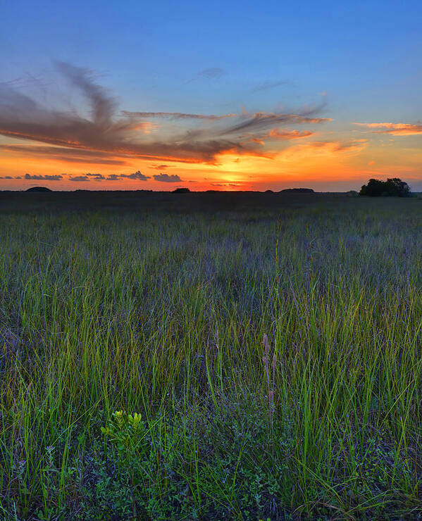 Sunset Art Print featuring the photograph Everglades Sunset by Stephen Vecchiotti