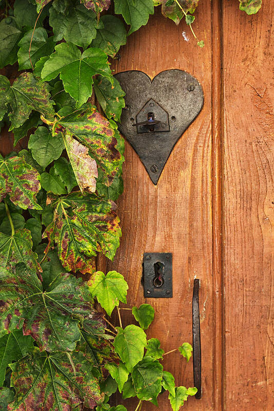 Heart Door Art Print featuring the photograph Door to my Heart by Georgia Clare