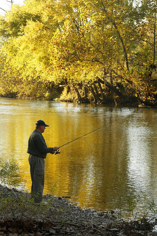 Ozarks Art Print featuring the photograph Fishing an Ozark Stream by Garry McMichael