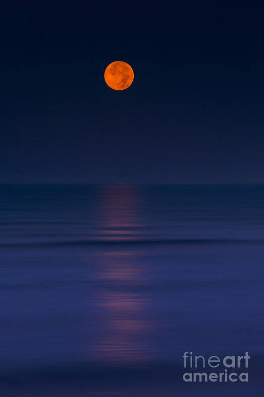 Moon Art Print featuring the photograph Moonar by Marco Crupi