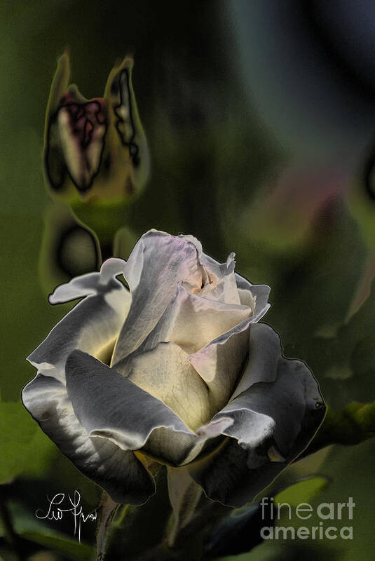 Sin Art Print featuring the photograph Sinful Rose by Leo Symon