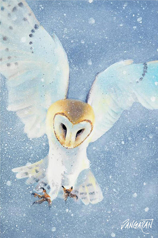 Original Painting Art Print featuring the painting Owl Detail by Tim Dangaran