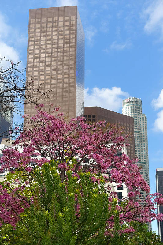 Spring In La Art Print featuring the photograph Spring in L A by Lutz Baar