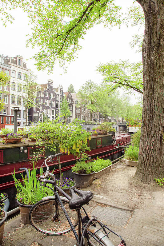 Amsterdam Art Print featuring the photograph Amsterdam Living by Georgia Clare