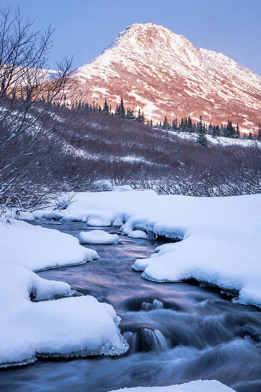 Ice Art Print featuring the photograph Mountain Stream in Winter by Tim Newton