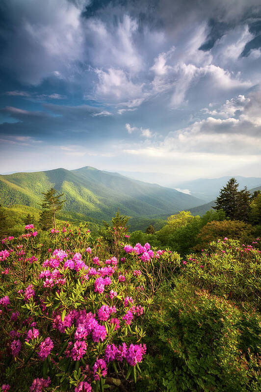 Asheville Art Print featuring the photograph North Carolina Blue Ridge Parkway Asheville NC Mountains Landscape by Dave Allen