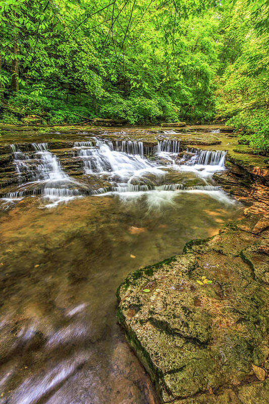 Waterfall Art Print featuring the photograph After The Rain by Ed Newell