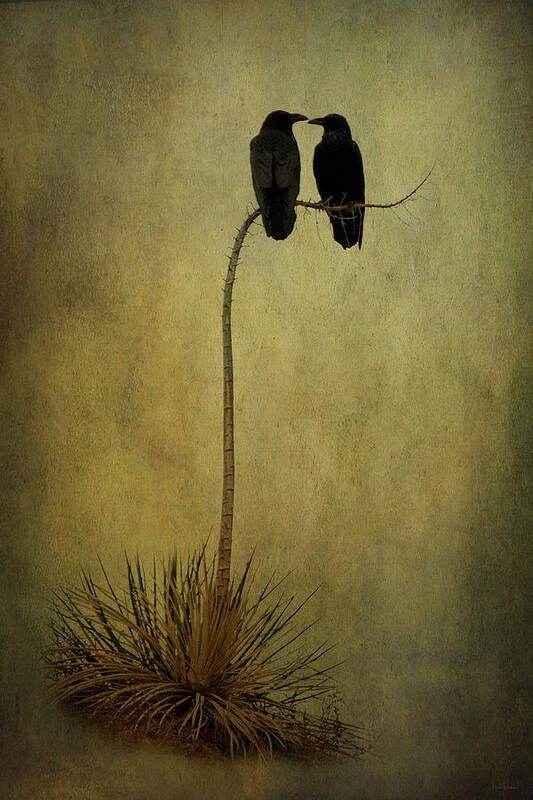 Crow Art Print featuring the digital art Corvid Companions by Nicole Wilde