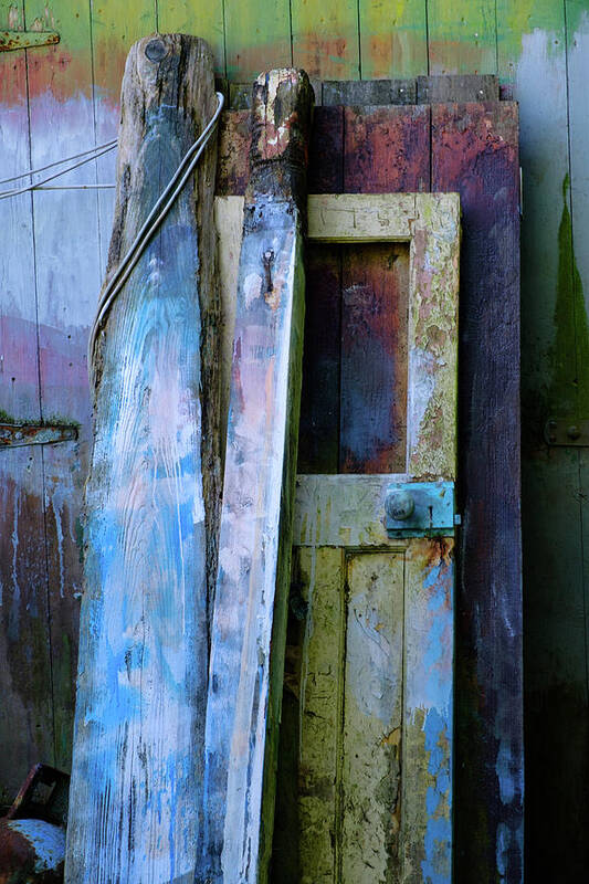 Paint Art Print featuring the photograph Door by Gary Browne