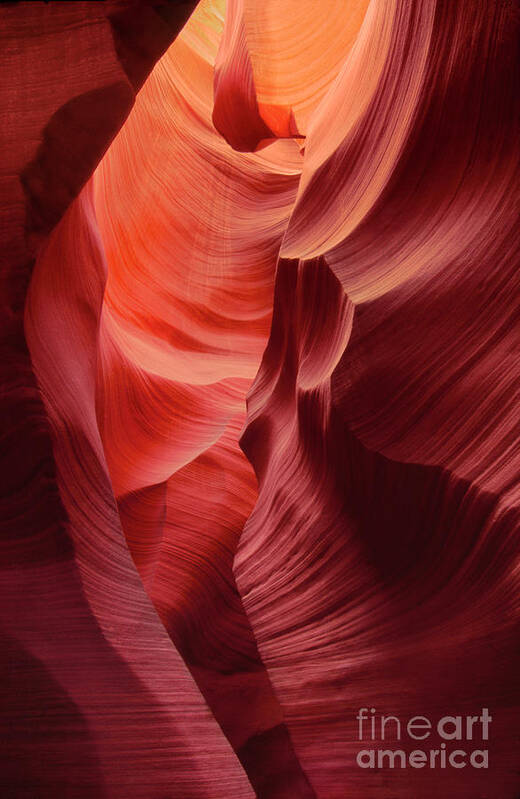 Dave Welling Art Print featuring the photograph Sandstone Walls Lower Antelope Slot Canyon Arizona by Dave Welling