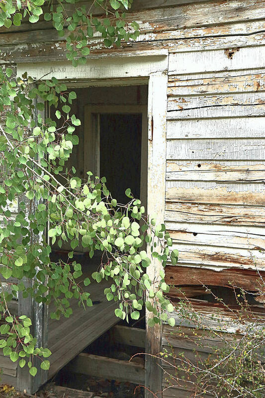 Abandoned Buildings Art Print featuring the photograph Skagway 9860 by Rick Perkins