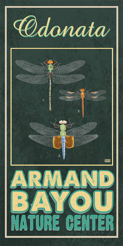 Armand Bayou Art Print featuring the digital art Armand Bayou Dragonfly by Jim Sanders
