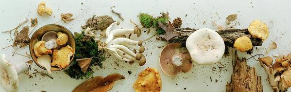 Fruits Art Print featuring the photograph An Assortment Of Mushrooms by Romulo Yanes