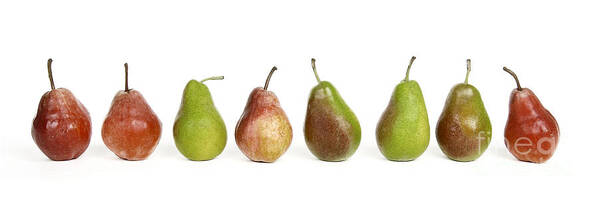 Food And Drink Art Print featuring the photograph Pears #4 by Bernard Jaubert