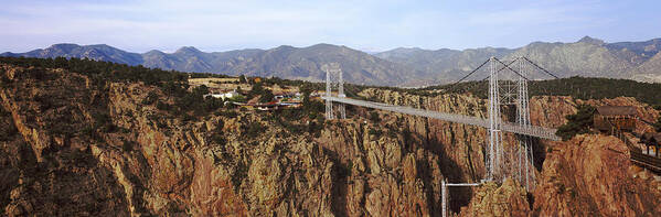 Photography Art Print featuring the photograph Suspension Bridge Across A Canyon #5 by Panoramic Images
