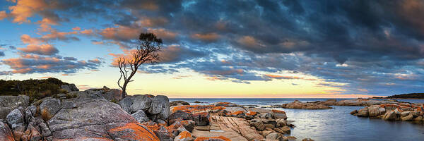 Scenics Art Print featuring the photograph Binalong Bay by Bruce Hood