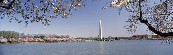 Photography Art Print featuring the photograph Cherry Blossom With Monument by Panoramic Images