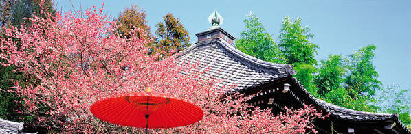 Photography Art Print featuring the photograph Daikaku-ji Kyoto Japan by Panoramic Images