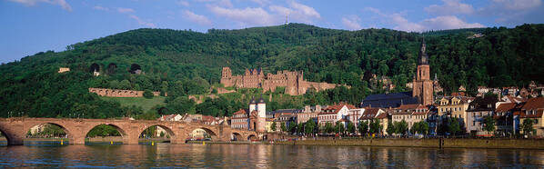 Photography Art Print featuring the photograph Germany, Heidelberg, Neckar River by Panoramic Images