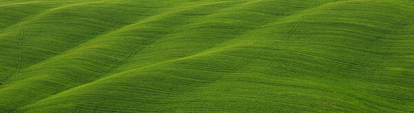 Agriculture Art Print featuring the photograph Green panorama by Ivan Slosar