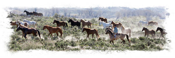 Horse Art Print featuring the photograph Horse Roundup by Judy Deist