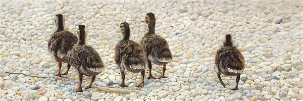 Ducklings Art Print featuring the painting On The Shore by Tammy Taylor