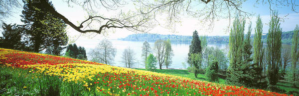 Photography Art Print featuring the photograph Lake Constance, Insel Mainau, Germany by Panoramic Images
