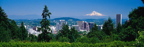 Photography Art Print featuring the photograph Mt Hood Portland Oregon Usa by Panoramic Images