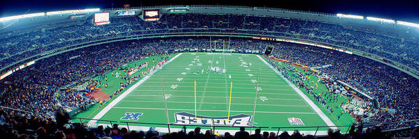 Photography Art Print featuring the photograph Philadelphia Eagles Nfl Football by Panoramic Images