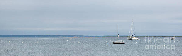 Provincetown Outlook Art Print featuring the photograph Provincetown Outlook by Michelle Constantine