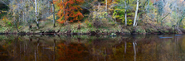 River Wharfe Art Print featuring the photograph River Wharfe Reflections by Nick Atkin