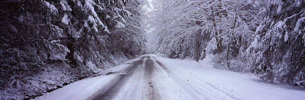 Photography Art Print featuring the photograph Snow Covered Road Passing by Panoramic Images