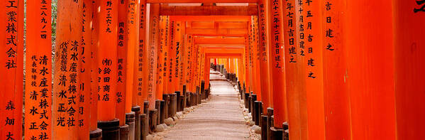 Photography Art Print featuring the photograph Tunnel Of Torii Gates, Fushimi Inari by Panoramic Images
