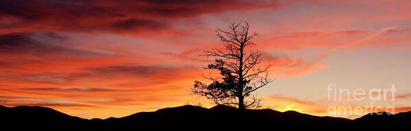 Panoramic Art Print featuring the photograph Lookin' Out My Front Door by Angelique Olin