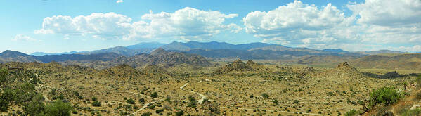 Panorama Art Print featuring the photograph Mojave Desert Panorama by Mariola Bitner