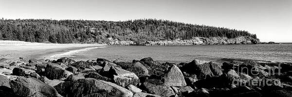 Sand Art Print featuring the photograph Acadia National Park Sand Beach by Olivier Le Queinec
