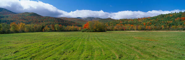 Photography Art Print featuring the photograph Adirondack Mountains, Upper State New by Panoramic Images