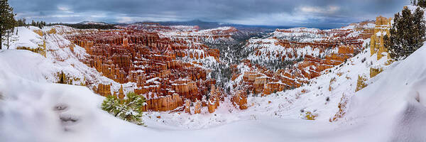 Bryce Canyon Art Print featuring the photograph Bryce Inspiration by Dave Koch