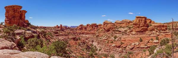 National Parks Art Print featuring the photograph Canyonlands National Park - Big Spring Canyon Overlook by Brenda Jacobs