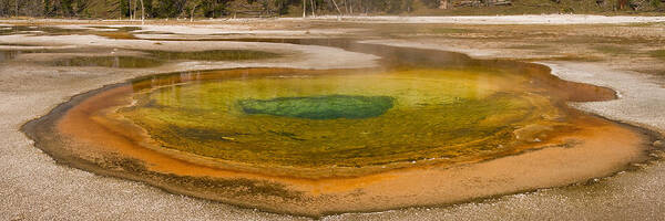 Chromatic Pool; Yellowstone; Horizontal; Orange Green Yellow; Panorama; Summer Art Print featuring the photograph Chromatic Pool at Yellowstone by John Higby