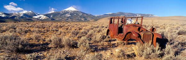 Photography Art Print featuring the photograph Deserted Car With Cow Skeleton, Great by Panoramic Images