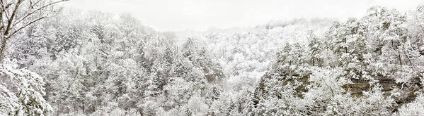 Elliott County Kentucky Art Print featuring the photograph Laurel Gorge Snow fall by Randall Evans